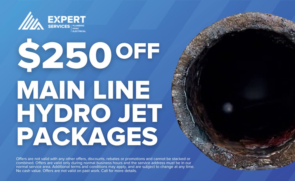 $250 off Main Line Hydro - Expert Services