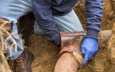 Primary Culprits in Main Sewer Line Backup Issues