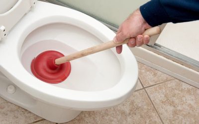 Information and Details on Common Plunger Types
