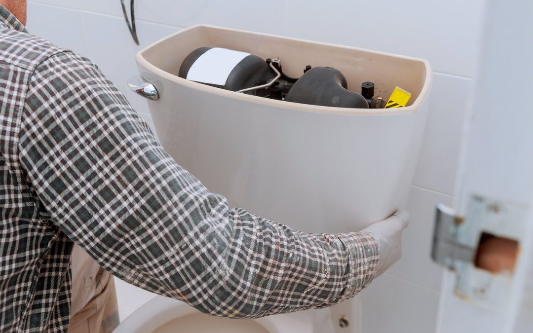 Identifying Common Toilet Problems and When to Call for Repair Services