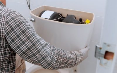 Identifying Common Toilet Problems and When to Call for Repair Services