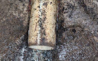 The Risks of Neglecting Commercial Sewer Issues: Lasting Impact on Businesses