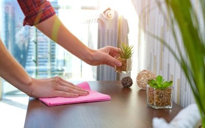 Be Informed, Stay Healthy: What you Need to Know About Your Home’s Air Quality