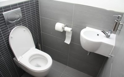 Dealing With Whistling Noises From Your Toilet